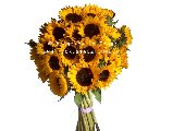 BOUQUET OF JUST SUNFLOWERS